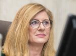 Matečná: Tempo sceľovania pozemkov bráni budovaniu vodozádržných opatrení
