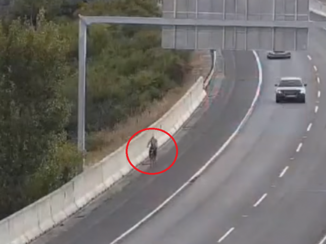 Video: Žena na bicykli si spravila skratku cez diaľnicu D1