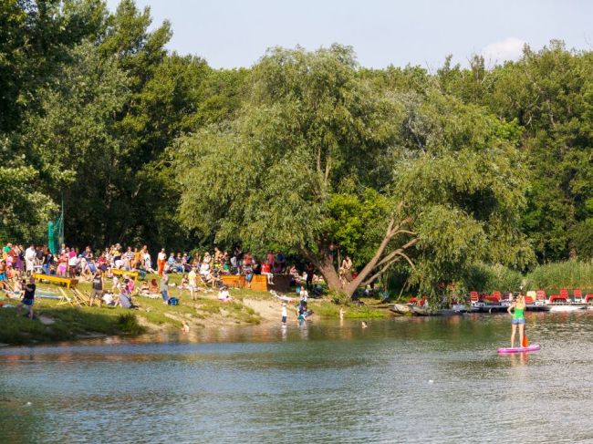 Veľký Draždiak slúži na osvieženie ľudí. Pre psy využite tieto vodné plochy, upozorňuje mestská časť