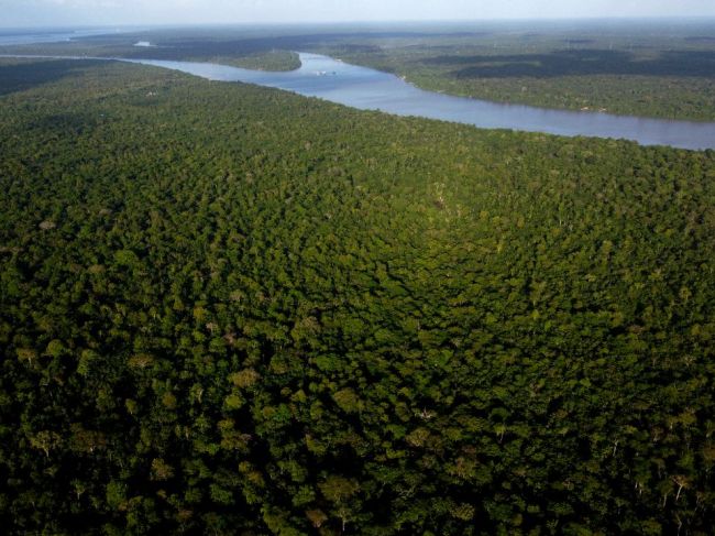 Štáty v povodí Amazonky vytvárajú alianciu proti odlesňovaniu a žiadajú o pomoc