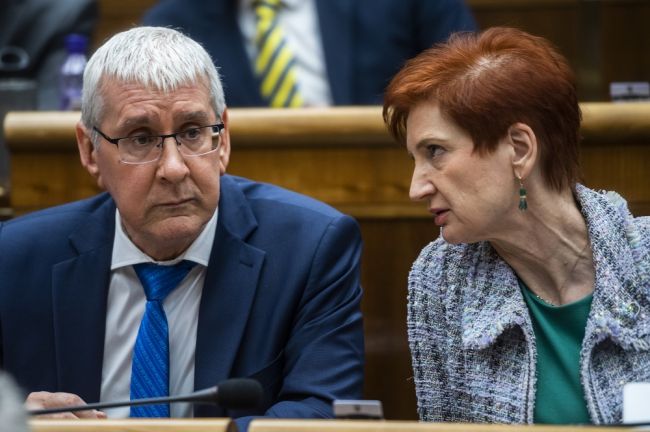 SaS navrhuje adresnú pomoc s hypotékami, predrokovala ju aj s bankami