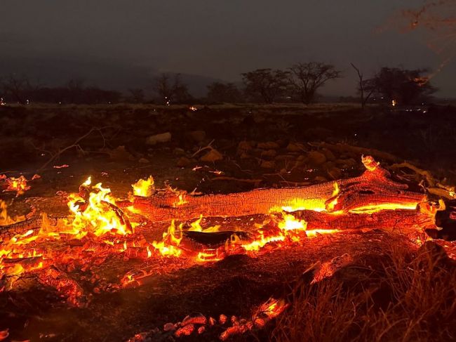 Lesné požiare na Havajských ostrovoch si vyžiadali už desiatky obetí