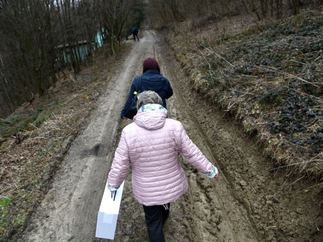 Voliči môžu zo závažných dôvodov požiadať o prenosnú volebnú schránku