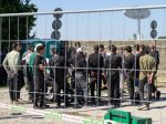 Prezidentka avizuje opatrenia v súvislosti s migračnou krízou
