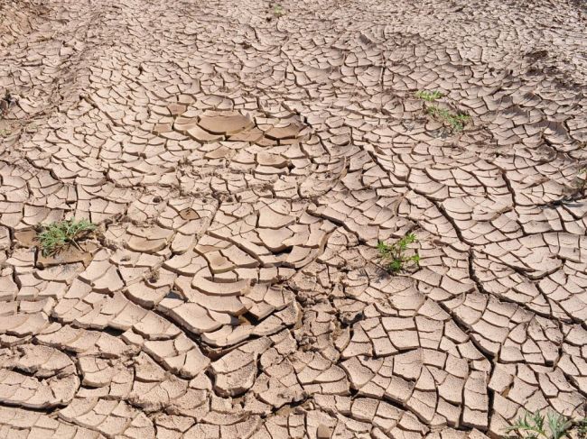 WMO: Posledné tri mesiace boli najteplejšími v histórii záznamov