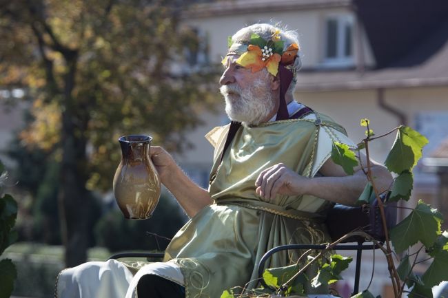 Bratislavské mestské časti ožijú vinobraním, hodmi a dožinkami