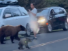 Video: Turista sa priblížil k medvedici s medvieďatami. Toto robiť nemal