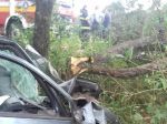 Tragická nehoda: Vodič narazil do stromu