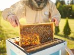 Slovenskí včelári získali na svetovej súťaži v Chile 14 medailí