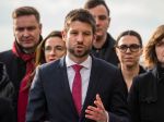 Progresívne Slovensko vyzýva občanov voliť v parlamentných voľbách