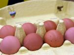 Tretina Slovákov chce znížiť konzumáciu potravín živočíšneho pôvodu