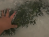 Video: Toto sa stane, keď namočíte umelý vianočný stromček do vody