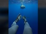 Video: Pre toto sa neoplatí plávať preč pred žralokom