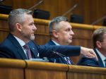SNS zvažuje vlastného prezidentského kandidáta, Pellegrini jej podporu odmietol