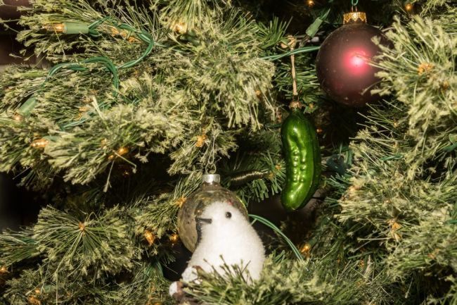 Nemecké vianočné stromčeky obsahujú pesticídy, upozornili environmentalisti