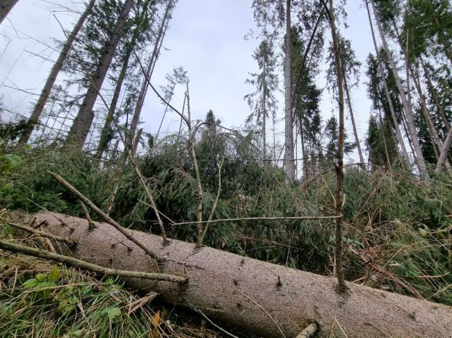 Horské oblasti zasiahne silný vietor, SHMÚ vydal výstrahu 2. stupňa