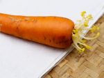 Ako za 5 minút osviežiť zmäknutú mrkvu? Chýba jej len táto jedna prísada