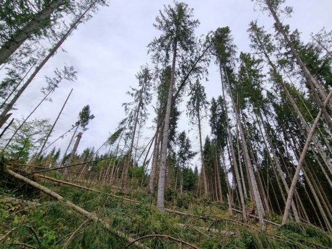 V Tatrách môže vietor dosiahnuť silu orkánu, turistov vyzývajú na opatrnosť