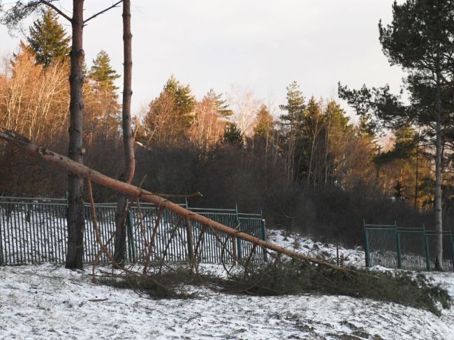 Na horách v troch okresoch hrozí orkán