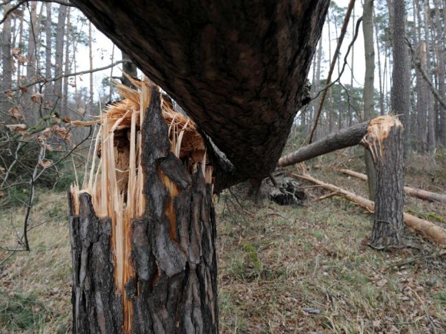 SHMÚ varuje: V týchto lokalitách treba počítať s mimoriadne silným vetrom, hrozí aj orkán