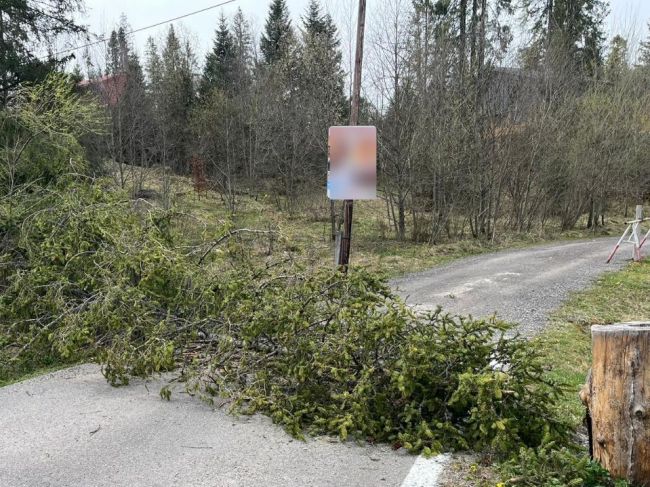 Silný vietor komplikuje dopravu, jednu cestu uzatvorili