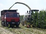 EÚ odobrila slovenskú štátnu pomoc pre podniky v agrosektore a akvakultúre