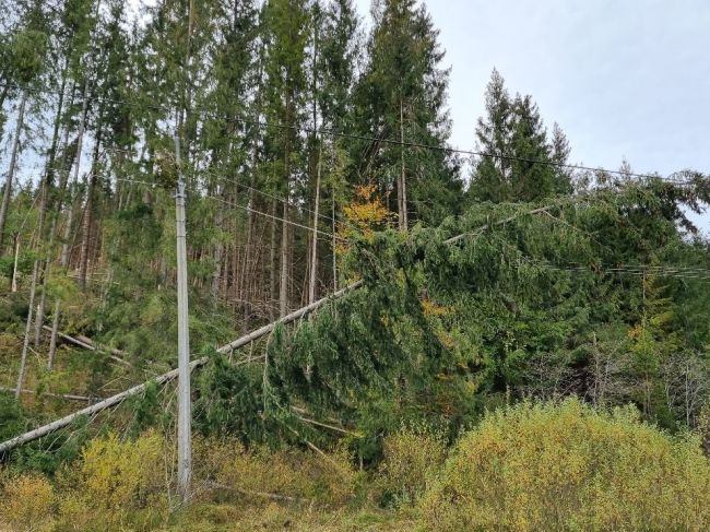 Na mnohých miestach Slovenska treba v stredu počítať so silným vetrom