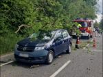 Na auto z nezistených príčin spadol strom, na mieste zasahujú policajti a hasiči