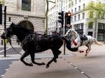 Video: Ulicami Londýna sa preháňali splašené kone, jeden z nich bol celý od krvi