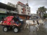 OSN: Výzva evakuovať Rafah je nehumánna