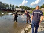 Našli štvrtú obeť sobotňajšej zrážky lodí na Dunaji, traja sú ešte nezvestní