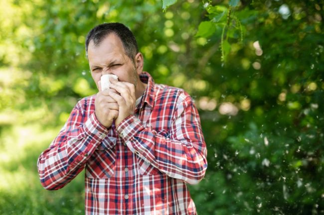 Neliečená alergická nádcha môže prejsť do astmy či ďalších komplikácií