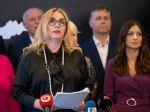 Pirátska strana sa vzdala kandidatúry do europarlamentu v prospech Demokratov