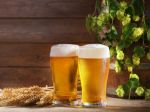 Český pivný trh zachraňujú nealkoholické pivá