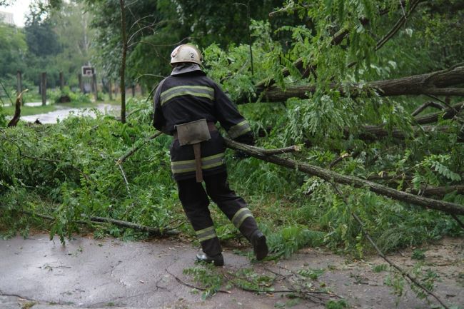 Popadané stromy a konáre komplikujú dopravu na týchto úsekoch ciest