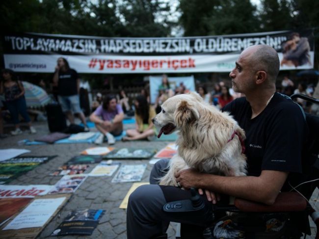 Na tureckých protestoch proti zákonu o túlavých psoch došlo k zrážkam s políciou