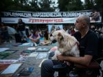 Na tureckých protestoch proti zákonu o túlavých psoch došlo k zrážkam s políciou