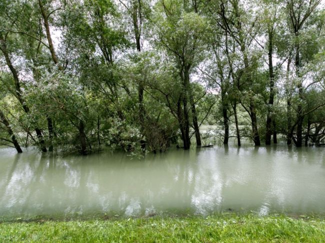 Nízka hladina Dunaja odhalila niečo nečakané: Toto našli v Srbsku a Maďarsku