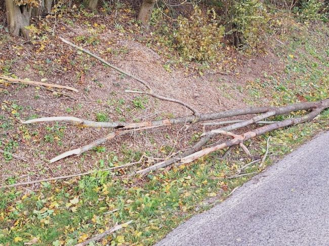 Na idúce auto spadol odlomený strom, polícia varuje pred vetrom