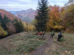 Horskí záchranári pomáhali v Malej Fatre zranenej 67-ročnej turistke