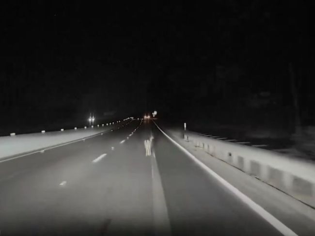 Video: Autopilot Tesly zlyhal, toto si na ceste nevšimol