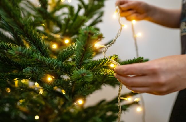 LED svetielka na vianočnom stromčeku spotrebujú menej energie