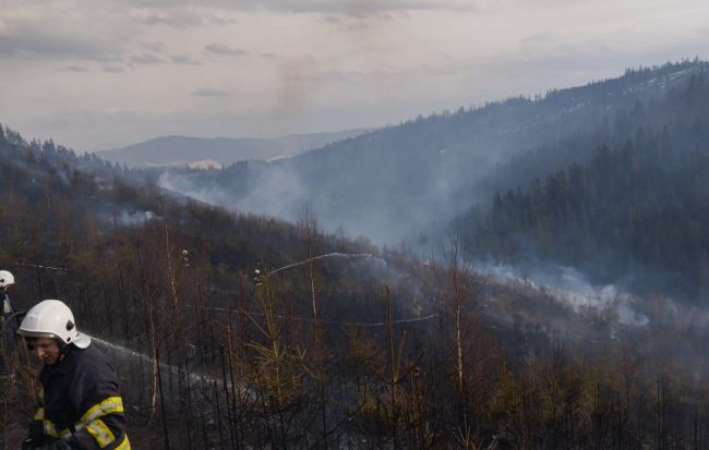 Desiatky hasičov zasahujú pri rozsiahlom požiari lesa