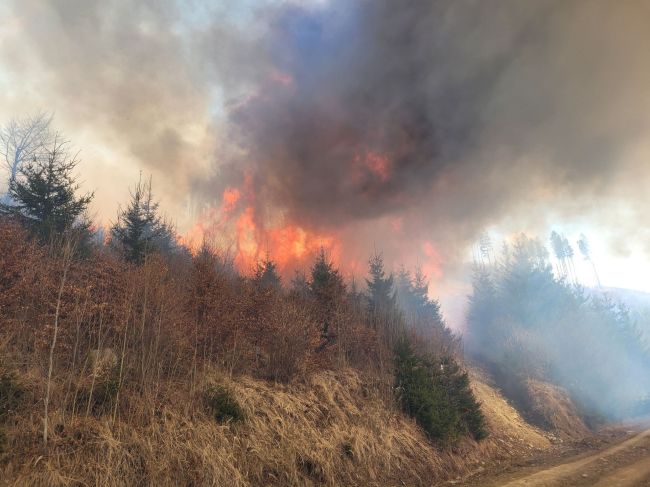 Požiar na Orave sa podarilo zastaviť, spôsobil škody vo výške 200.000 eur