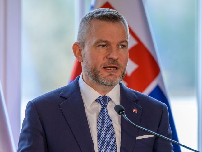 Prezident pripúšťa, že by sa mohli konať predčasné voľby