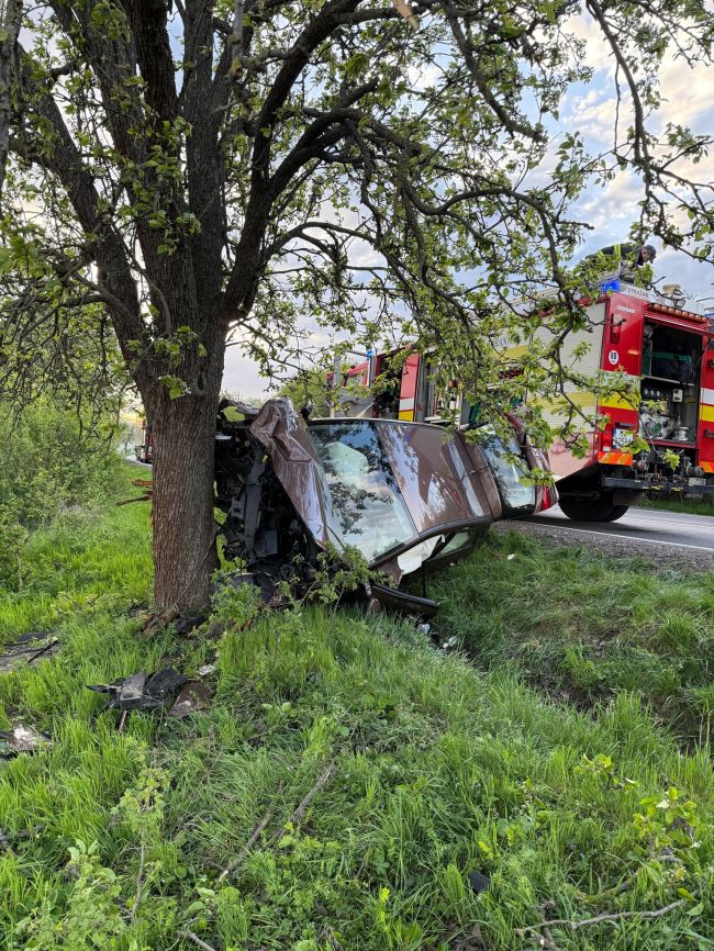 Čelný náraz auta do stromu si vyžiadal jednu zranenú osobu