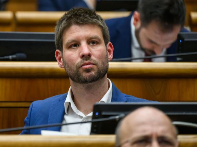 Šimečka: Fungovanie transakčnej dane ukazuje dramatický vplyv na podnikateľov