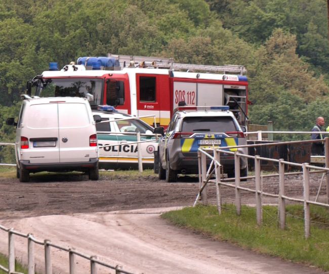 Obrovská tragédia: Pri požiari zahynulo 17 žriebät