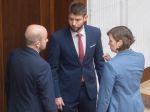 PS avizuje podanie novely zákona o neziskových organizáciách na Ústavný súd