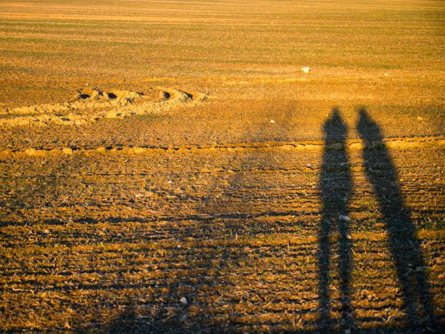 Slovensko zápasí so suchom, zasahuje 36 percent krajiny